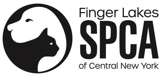 The nor cal bowling centers logo shows a bowling ball and pins with the golden gate bridge in the background.
