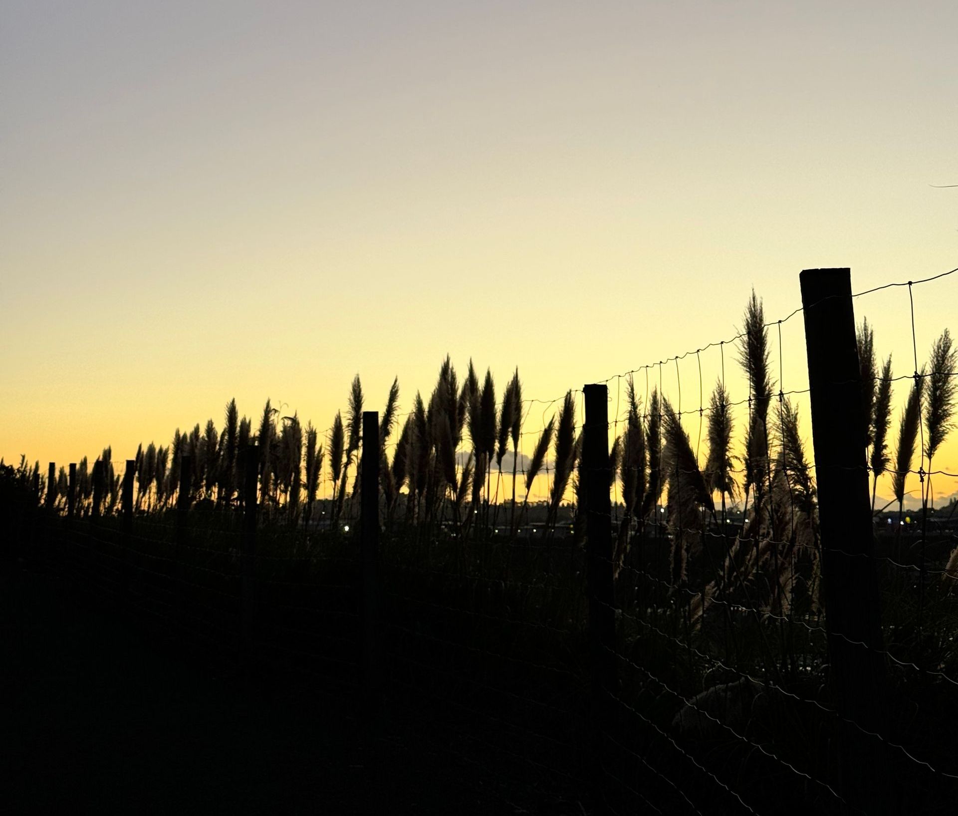 Silhouette of tall grass and fence posts against a yellow and blue sunset sky.