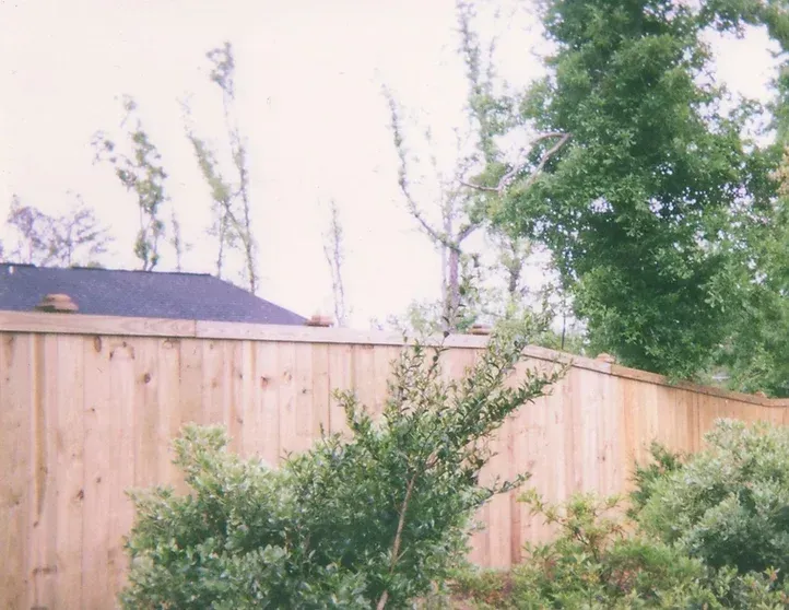 A wooden fence is surrounded by trees and bushes.