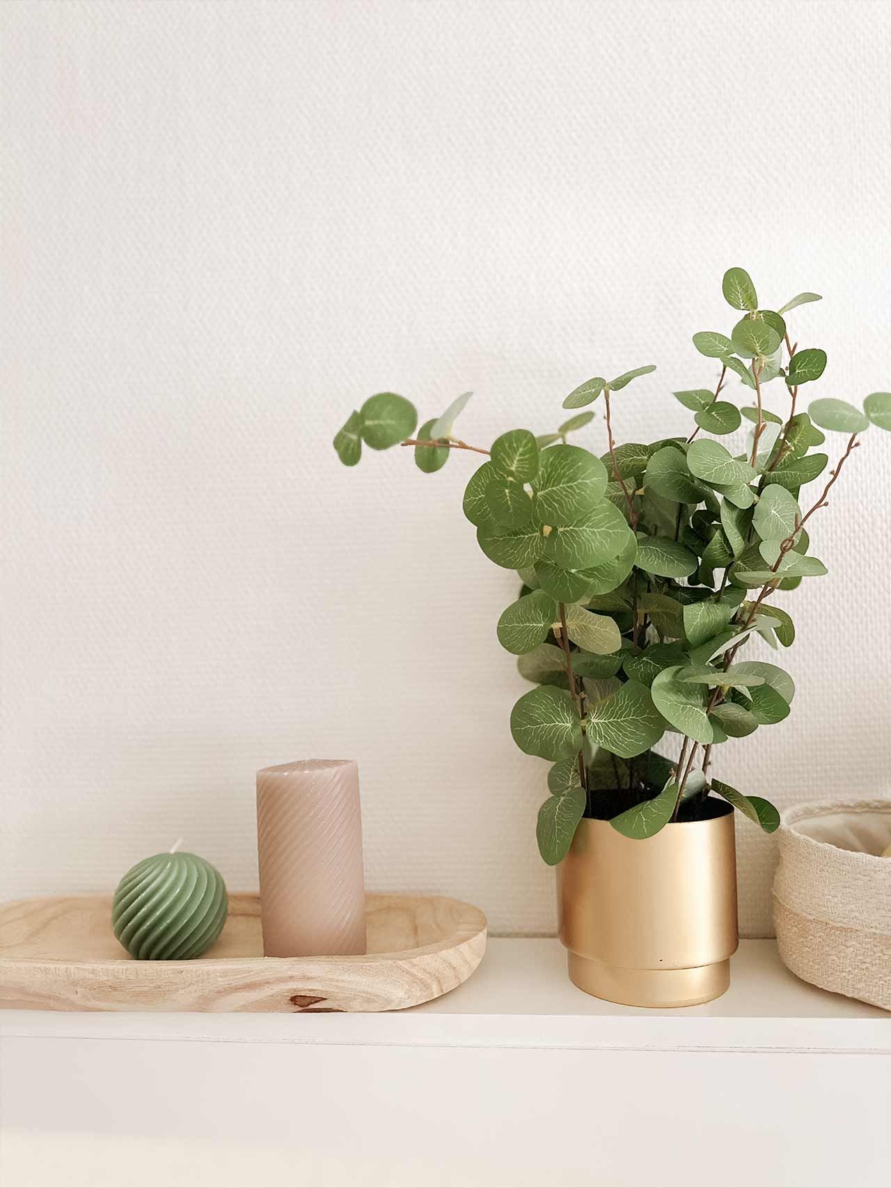 Une plante en pot est posée sur une étagère à côté d'une bougie.