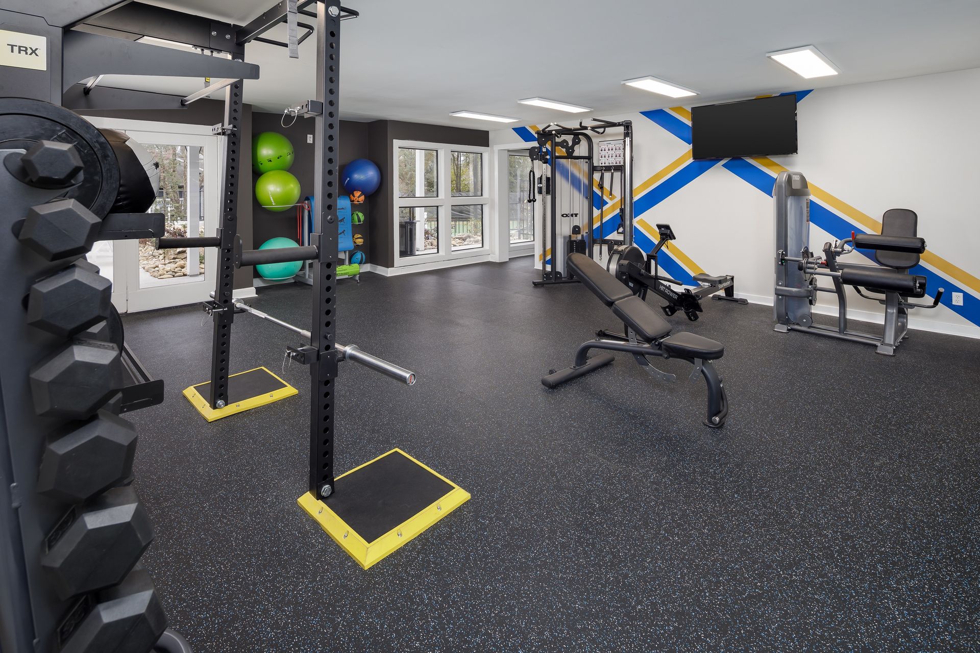 Gym with squat rack, weights, bench, exercise equipment, rubber floor, and white walls with blue and gold accents.