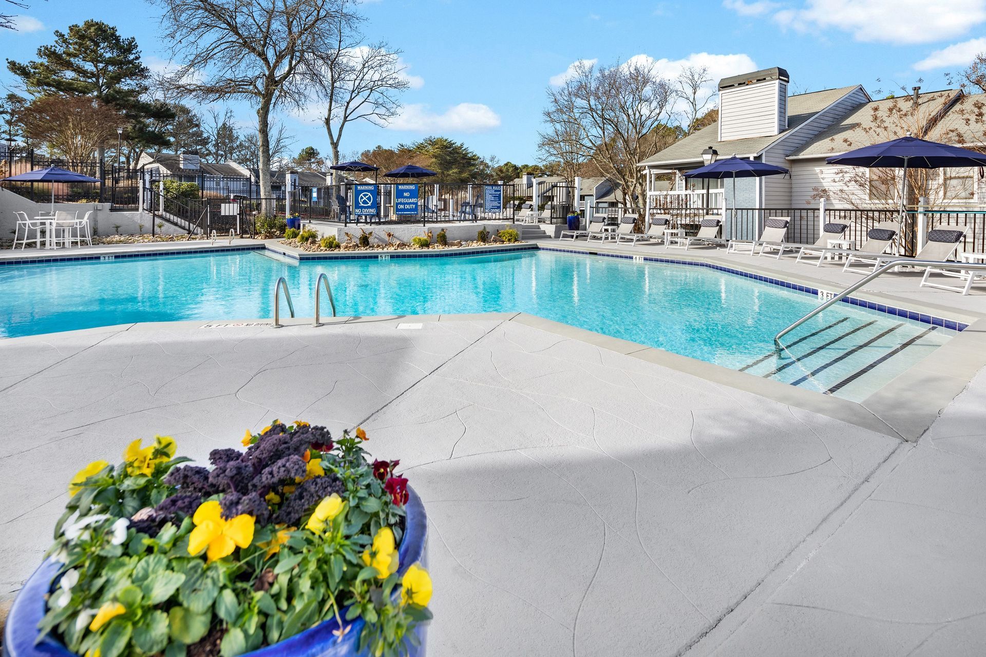 A sunny outdoor swimming pool with lounge chairs and a flower pot in the foreground.