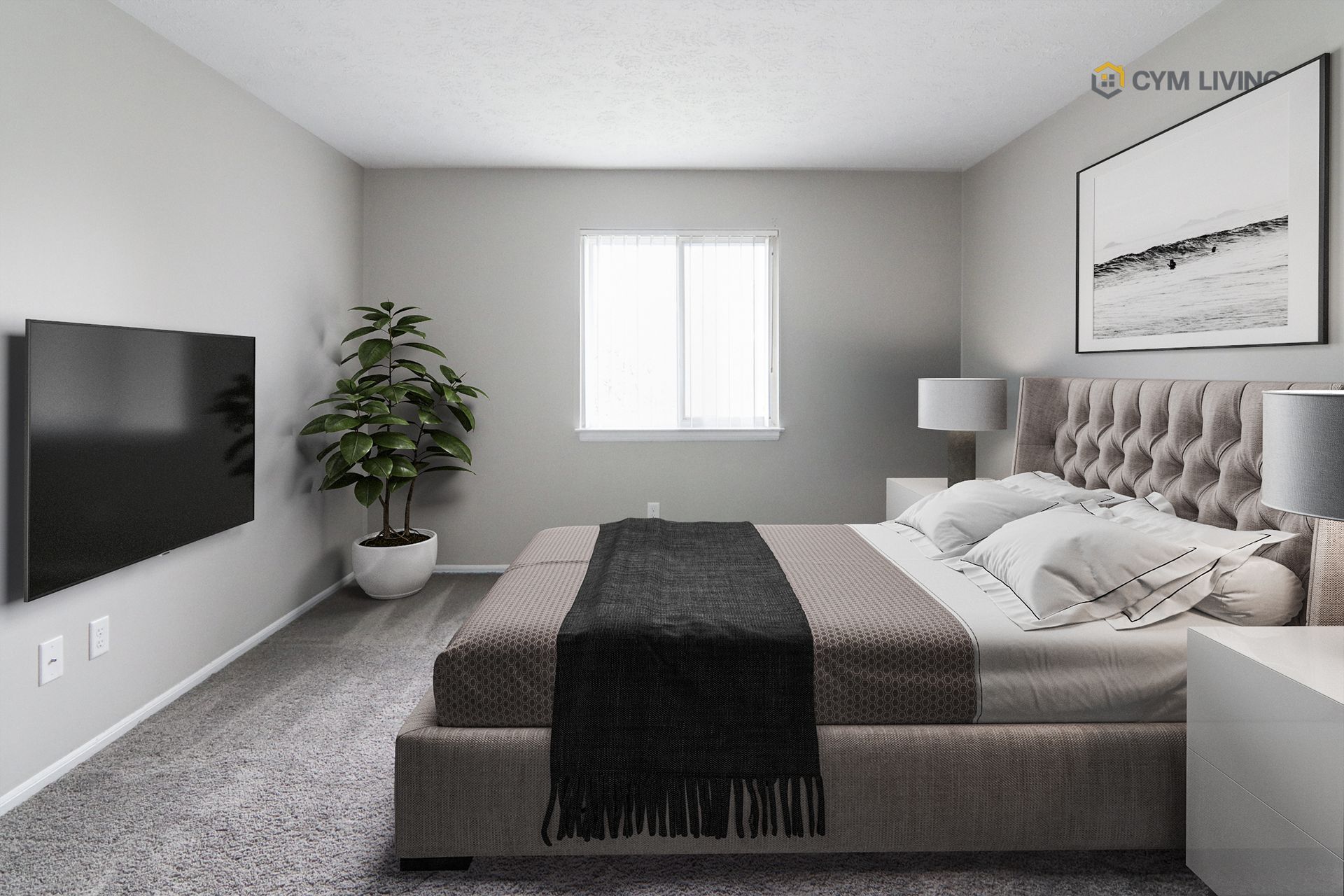 Bedroom with gray walls, bed, TV, plant, and artwork.