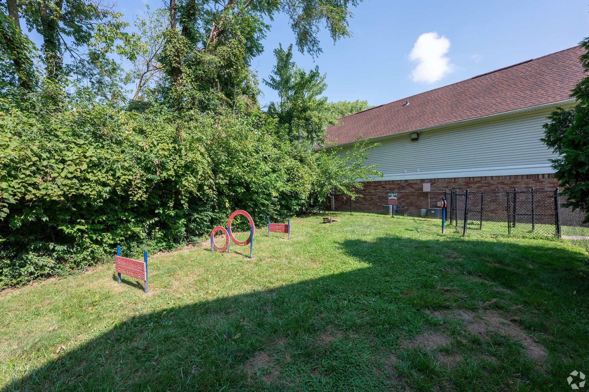 Dog park with agility equipment; green grass, red and blue structures, building in the background.