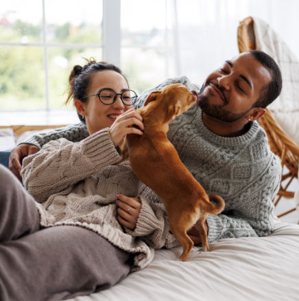 A man and a woman are laying on a bed with a dog.