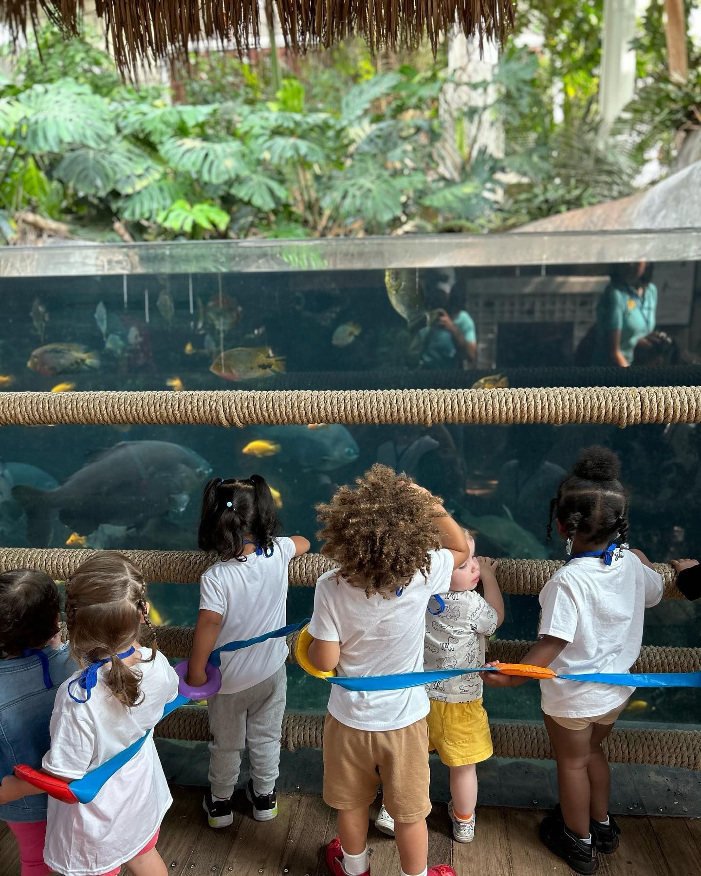 A group of children are looking at fish in an aquarium.