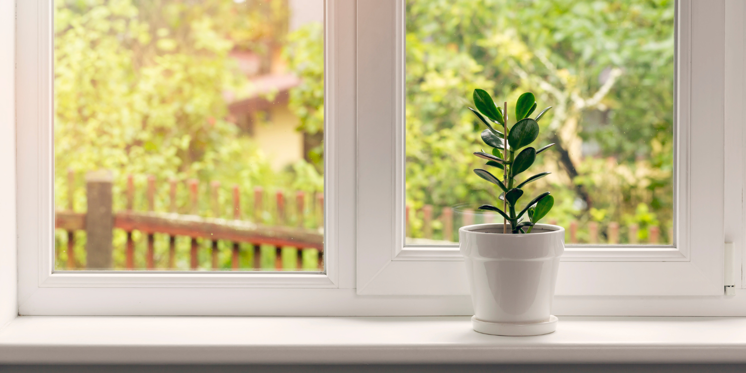 Window with plant on window sill -Do These Home Upgrades and Sell Your House for More This Spring 