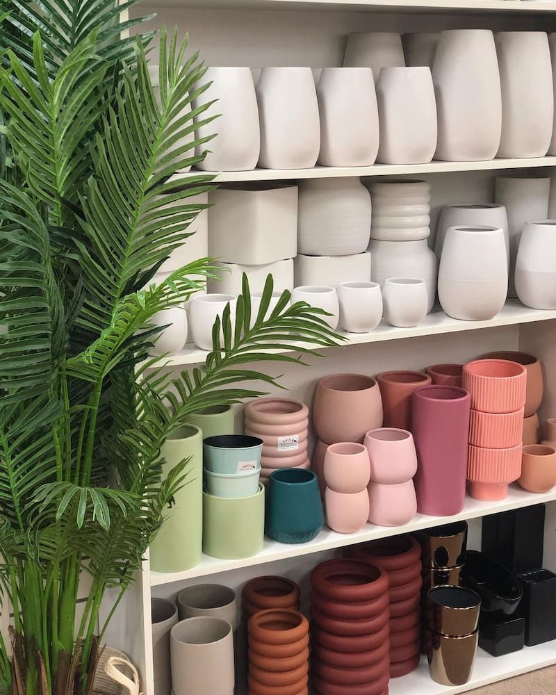 A Shelf Filled With Lots Of Pots And A Plant — Clover Country Flowers and Gifts In Toowoomba, QLD