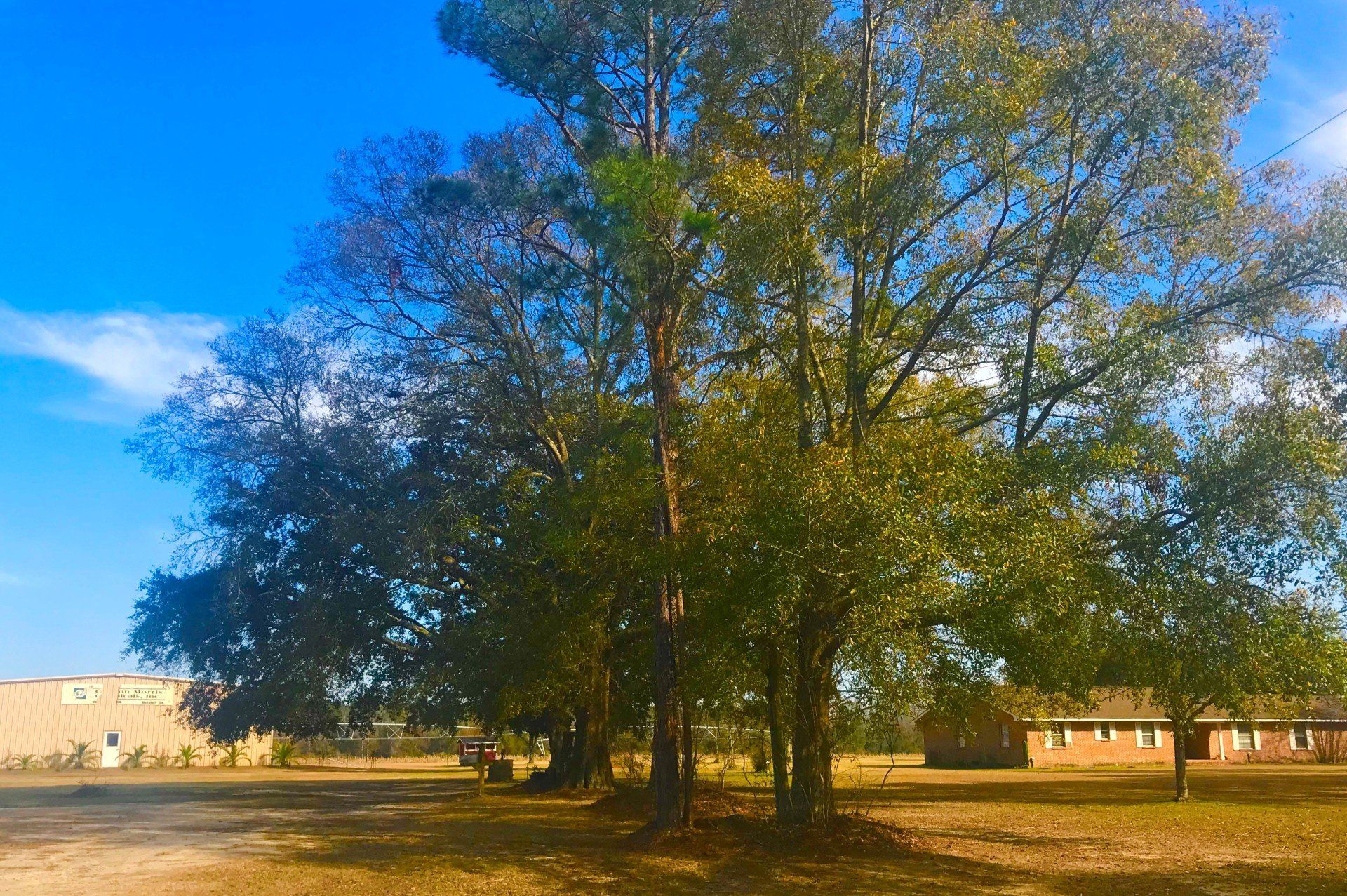Arborists — Hands Holding a Green Plant in Savannah, GA