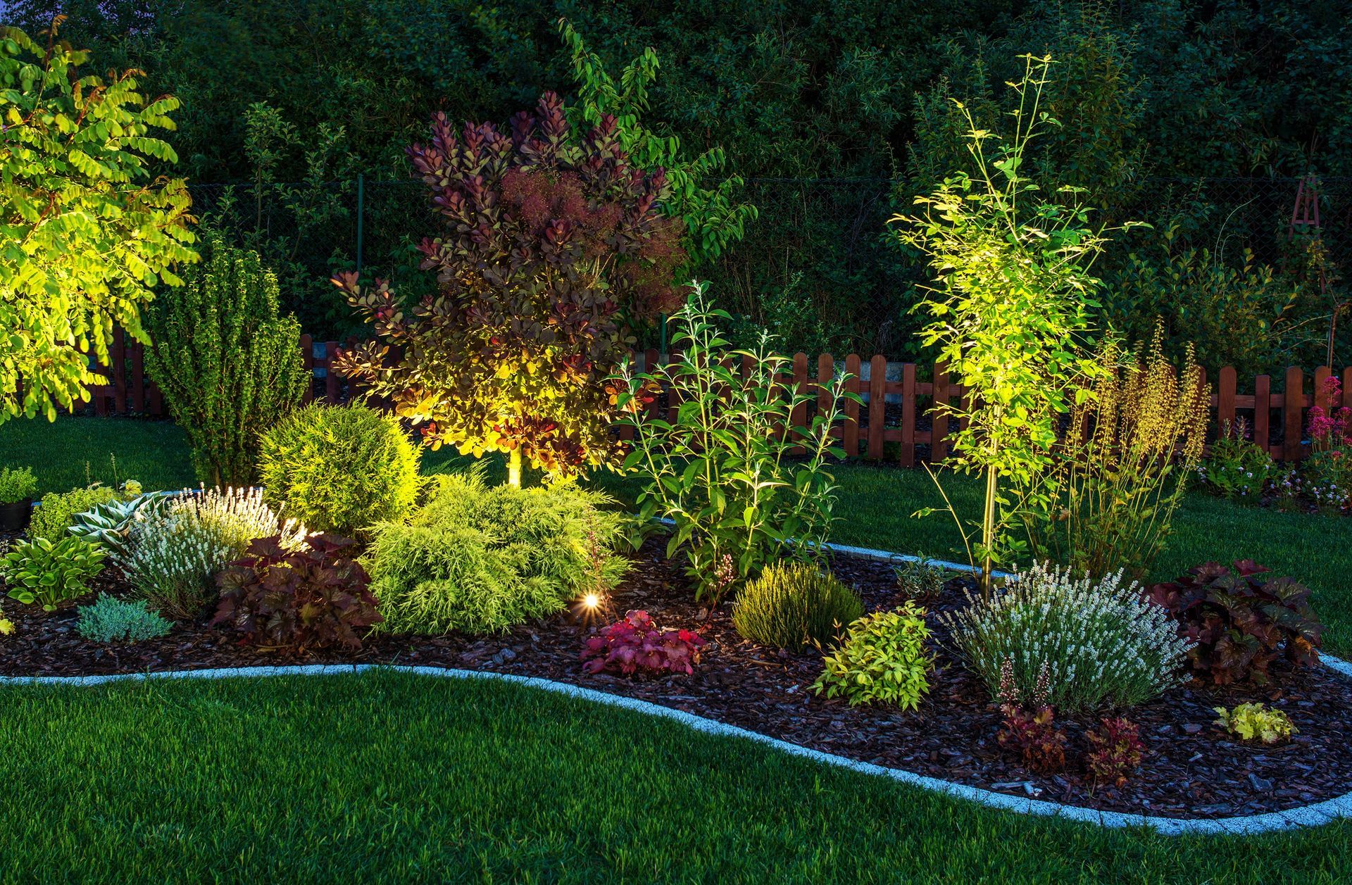 A garden with lots of plants and trees is lit up at night.