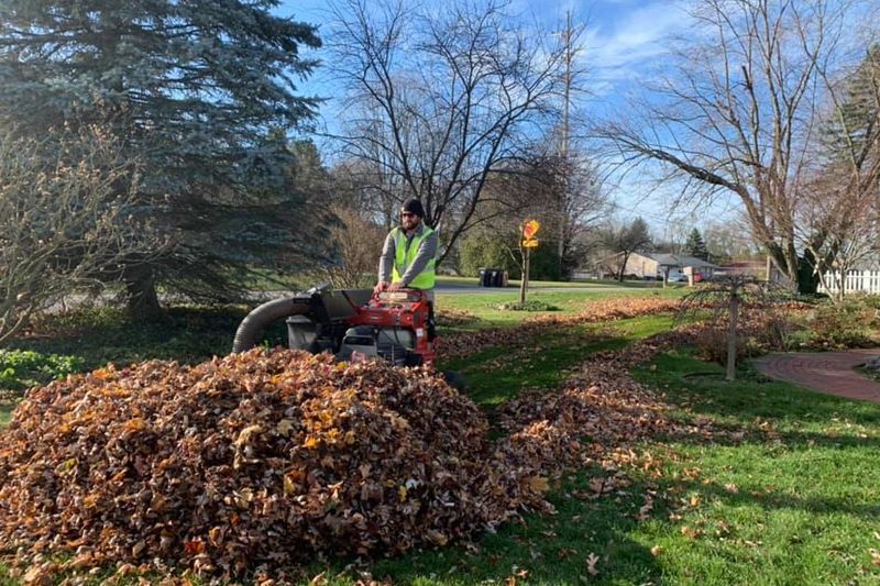 leaf clean up