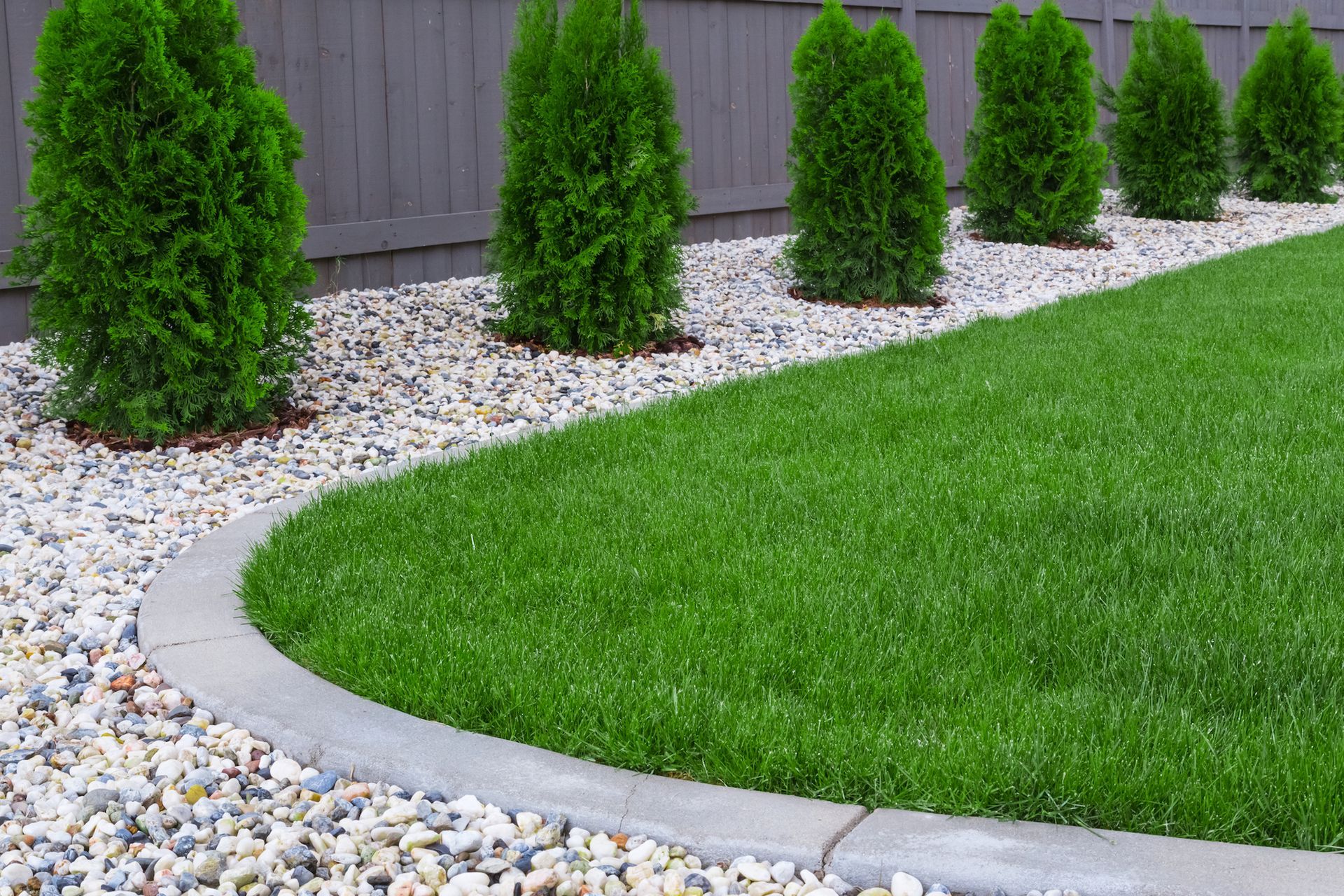 A lawn with a concrete curb and shrubs and gravel.