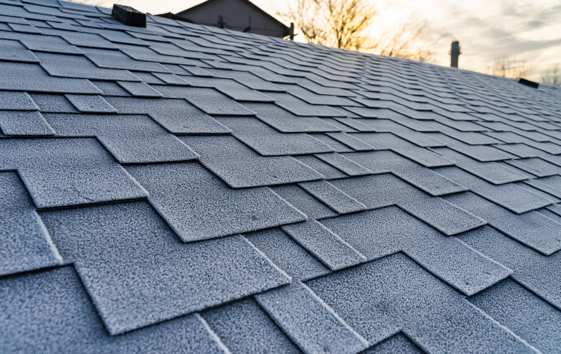 professional roofing dallas tx