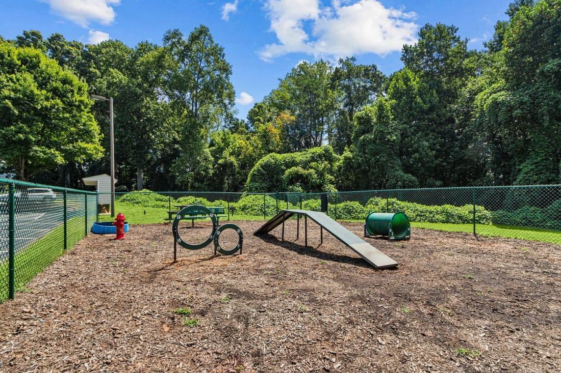 Dog park with agility equipment, surrounded by a fence and trees under a blue sky.