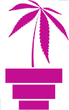 cannabis flower icon
