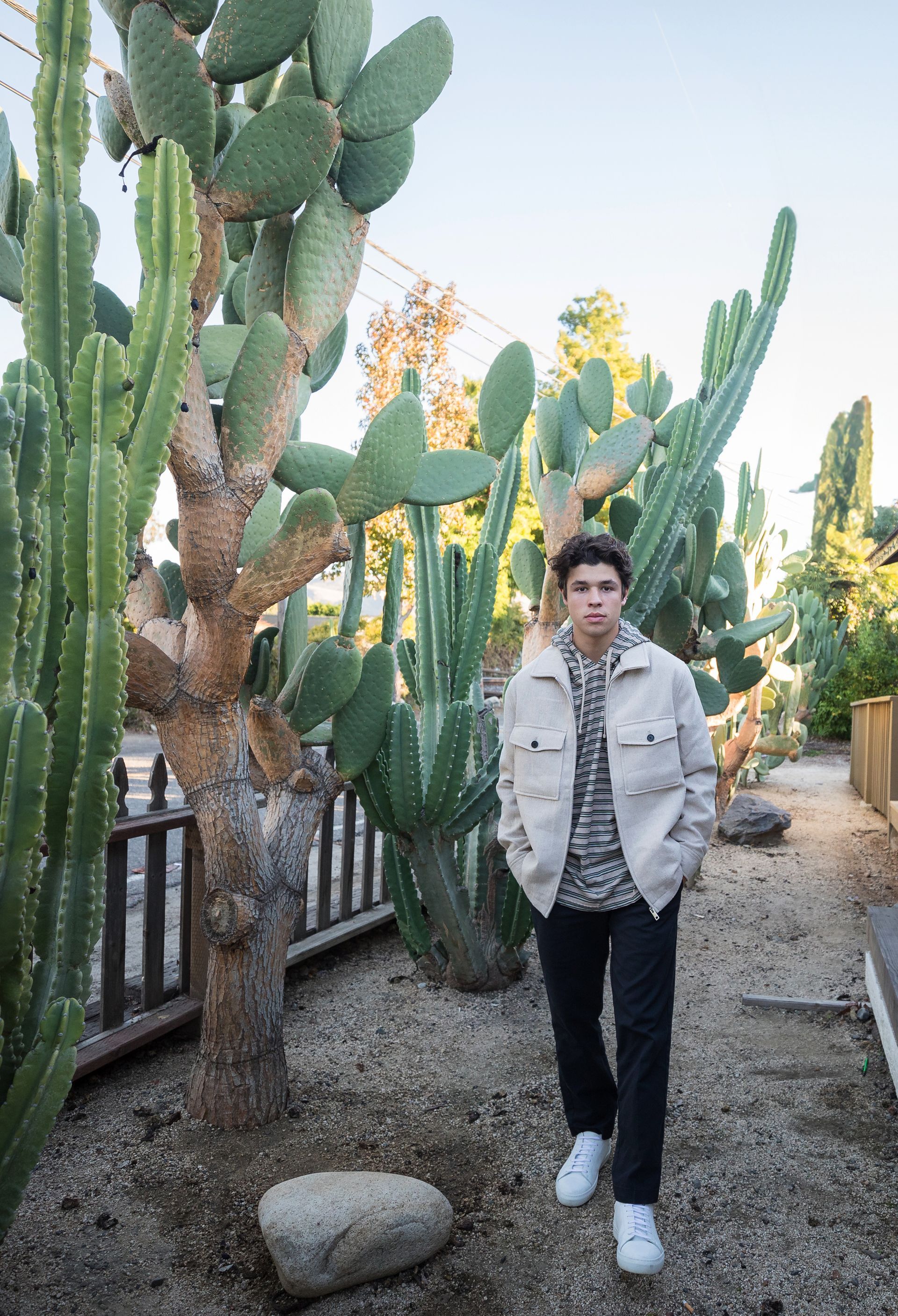 A man is standing in front of a cactus garden.