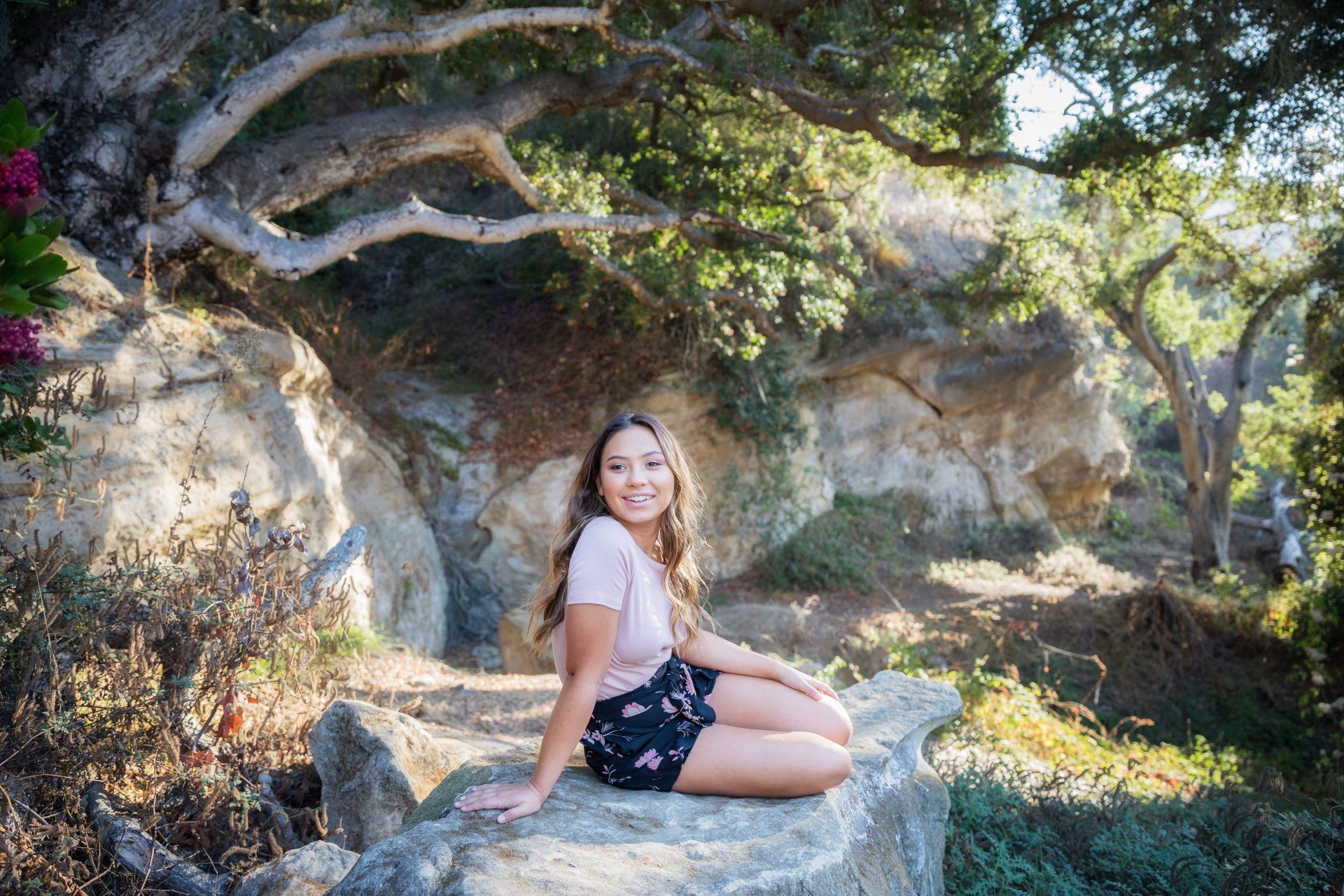 A woman is sitting on a rock under a tree.