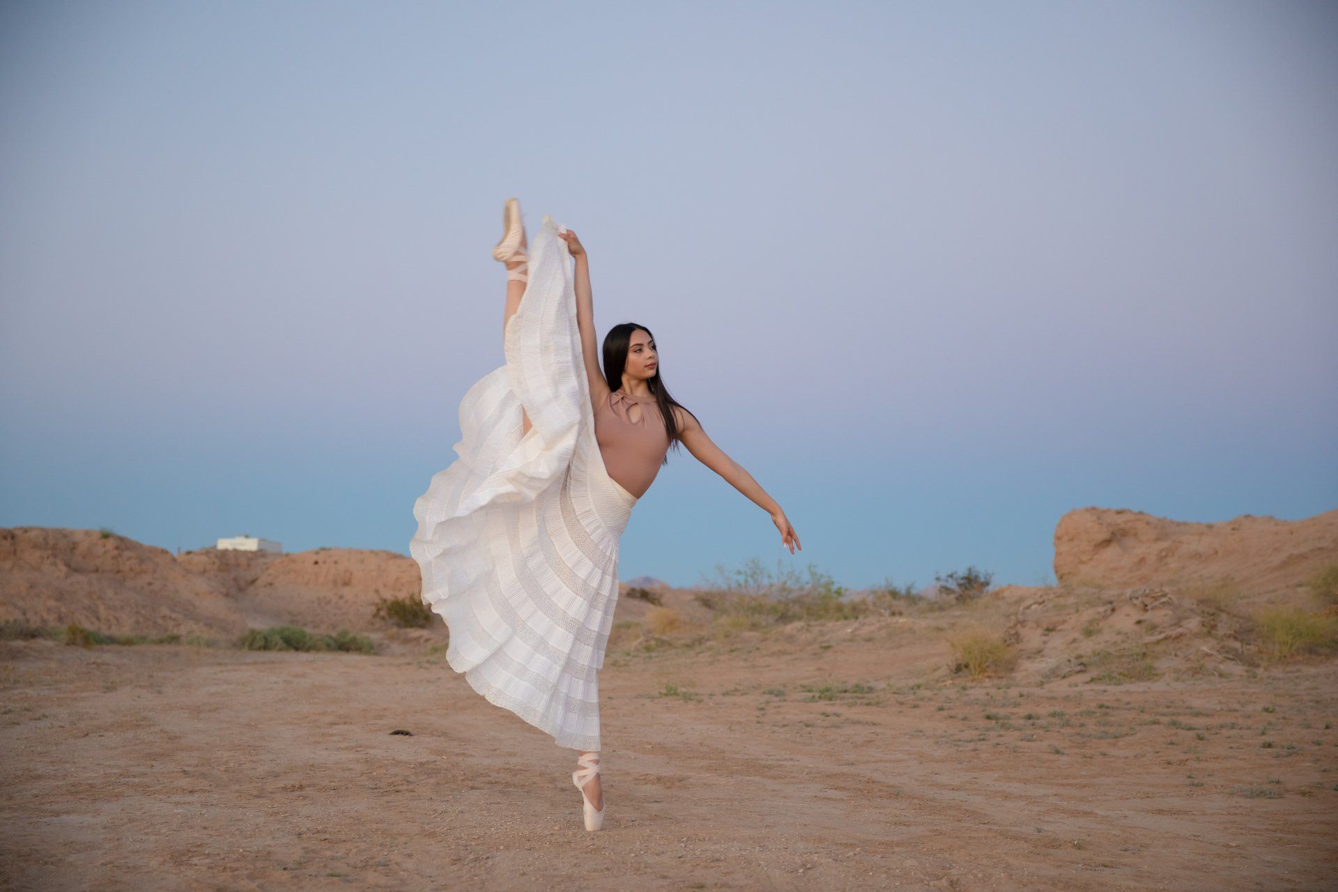 A woman in a white dress and pointe shoes is dancing in the desert.