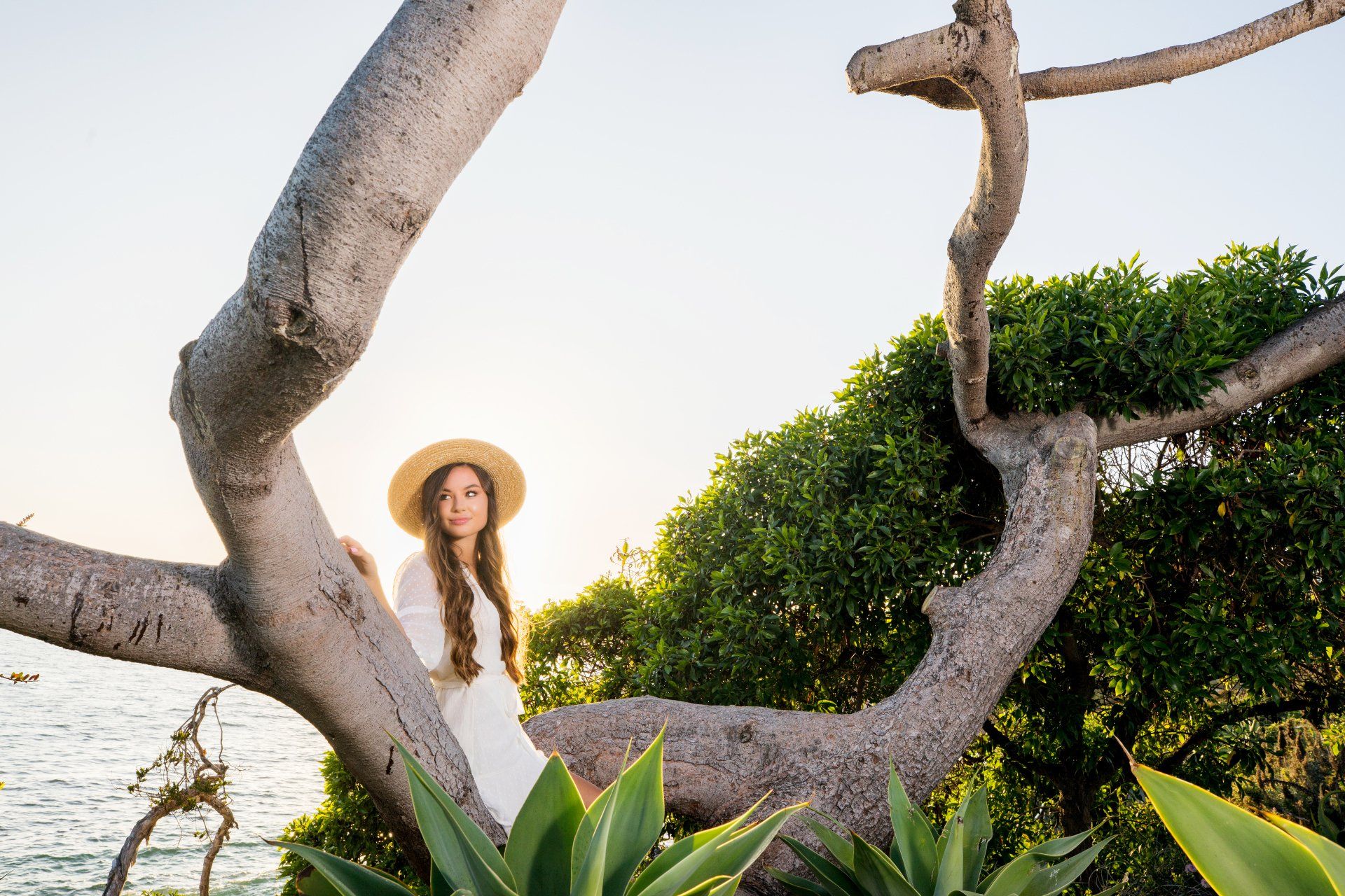 A woman in a white dress and straw hat is standing on a tree branch.