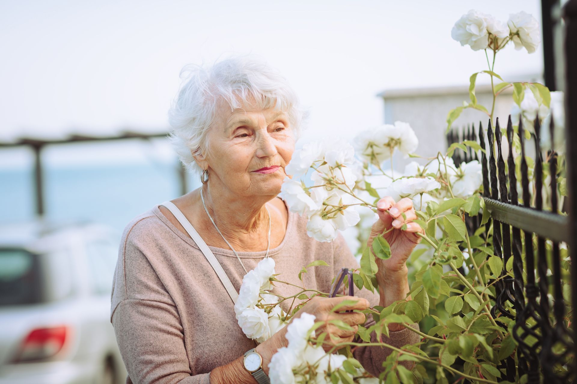 Elderly woman smelling white roses next to a black fence, soft sunlight.
