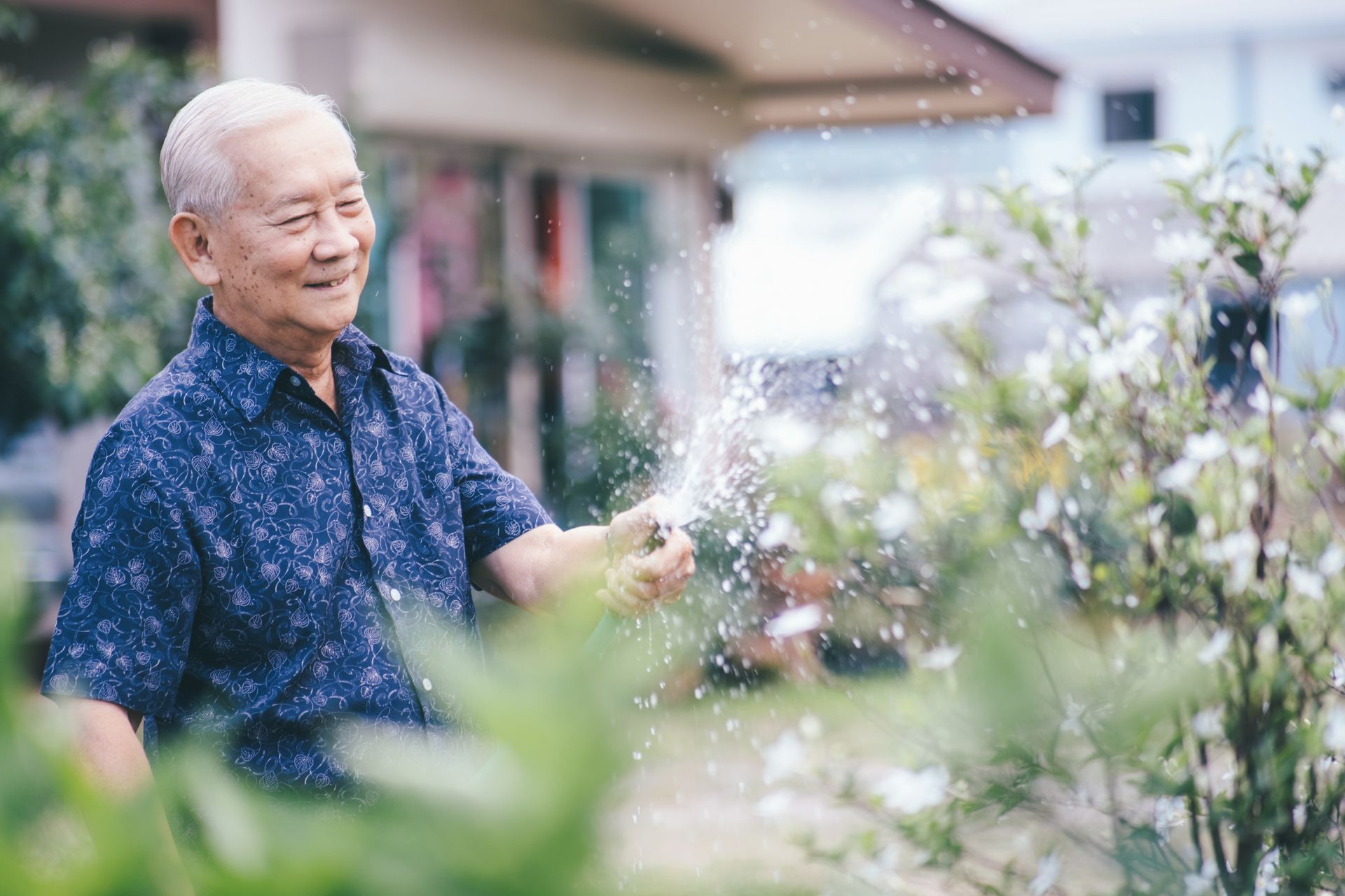 Smiling elderly Asian man waters plants in a yard. He wears a blue patterned shirt.