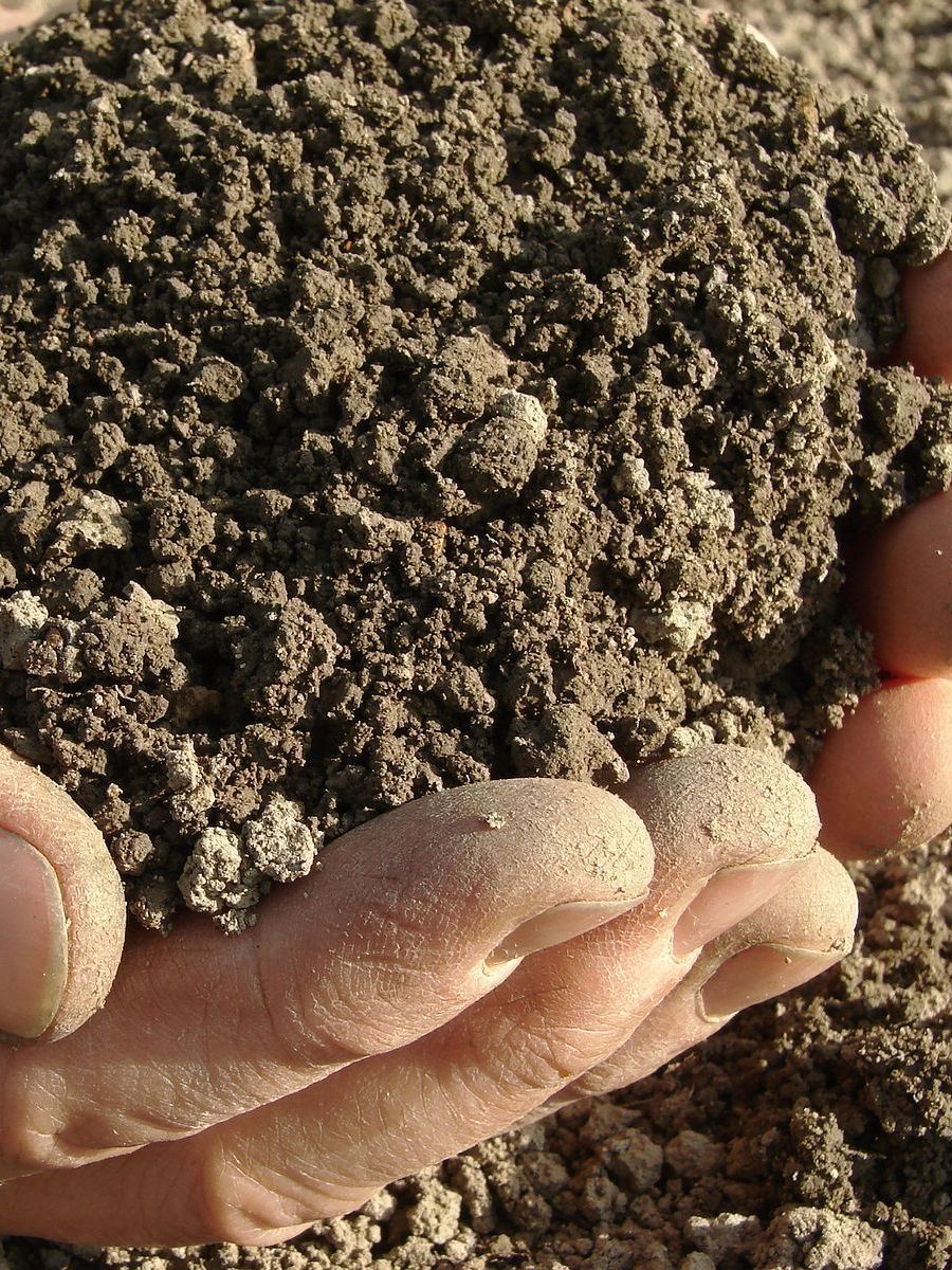 a person is holding a pile of dirt in their hands