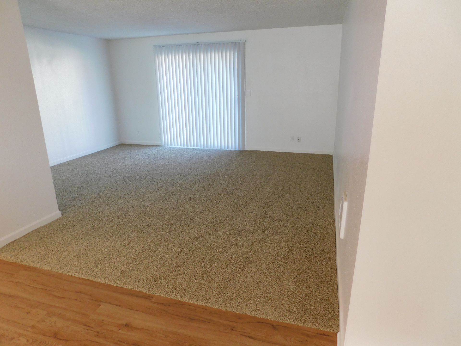 Empty living room with beige carpet, sliding door with blinds, and white walls.