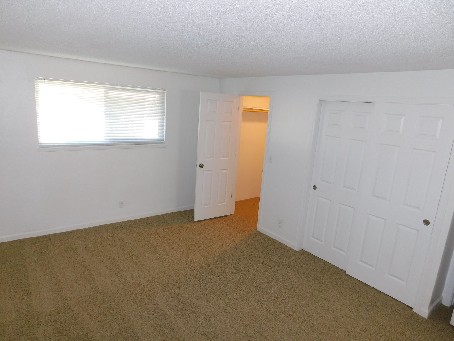Empty bedroom with white walls, tan carpet, closet, open door to closet, and window.