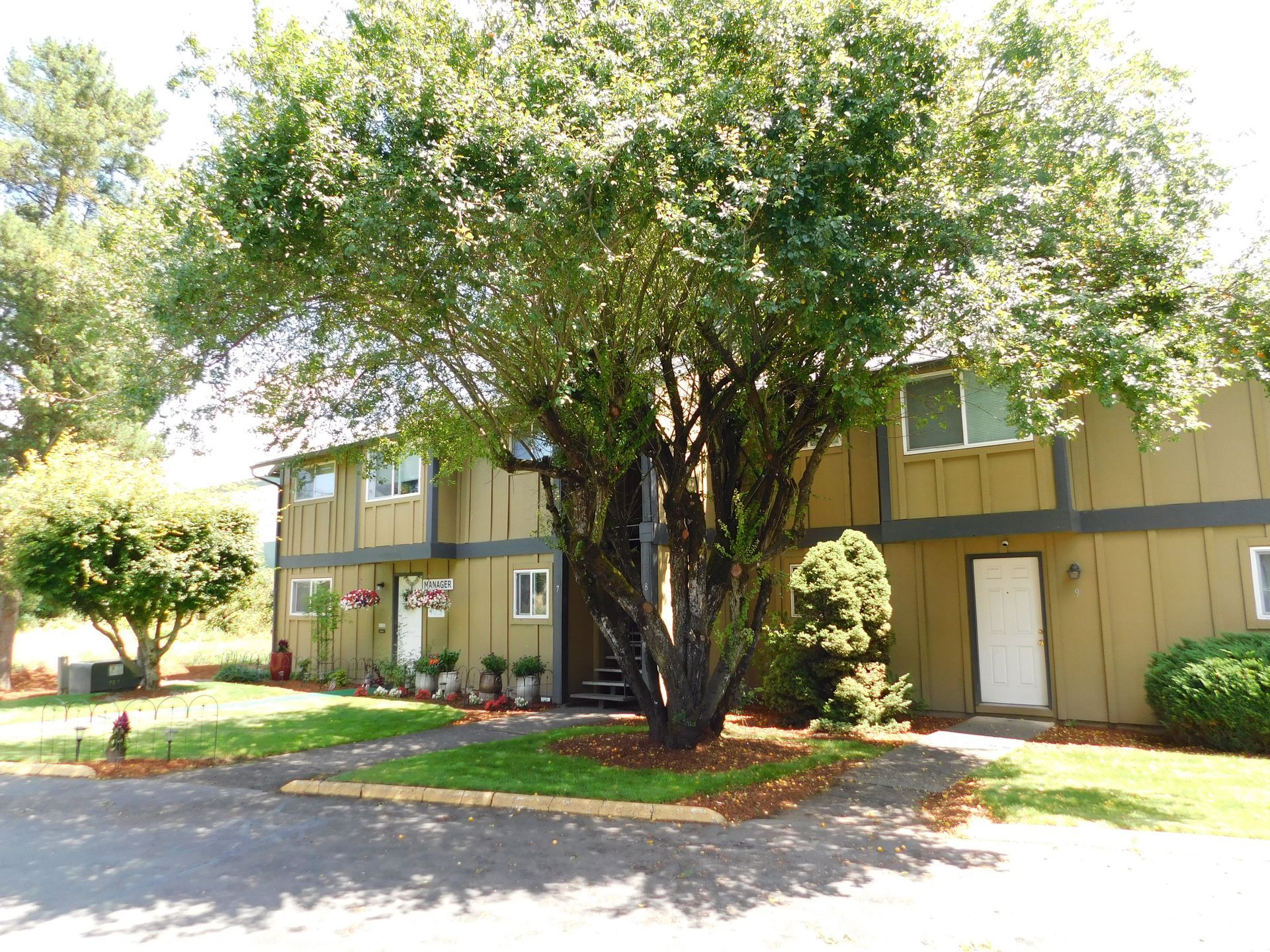 Two-story tan apartment building with large trees in front; a paved walkway leads to the doors.