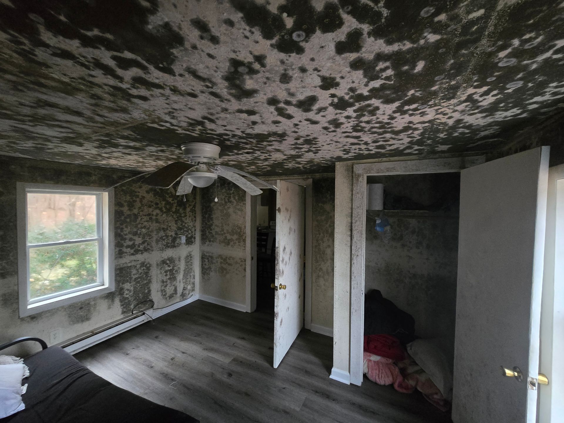 A bedroom with a ceiling fan and a lot of mold on the ceiling.