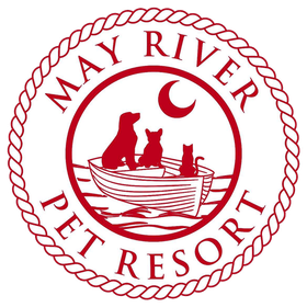 May River Pet Resort