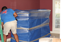 Person with a pallet