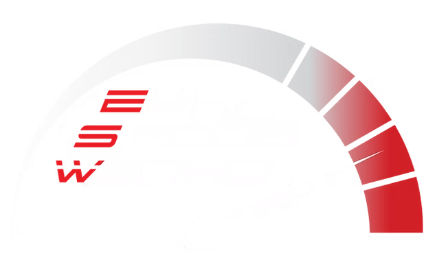 Euro Speed Works Logo