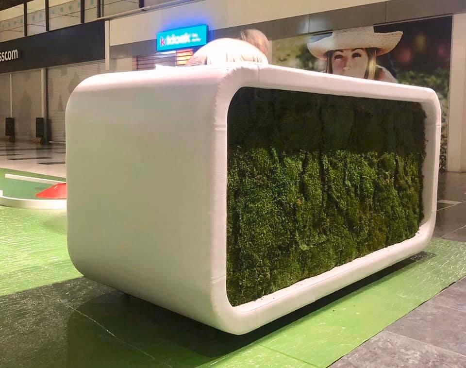 table végétalisée