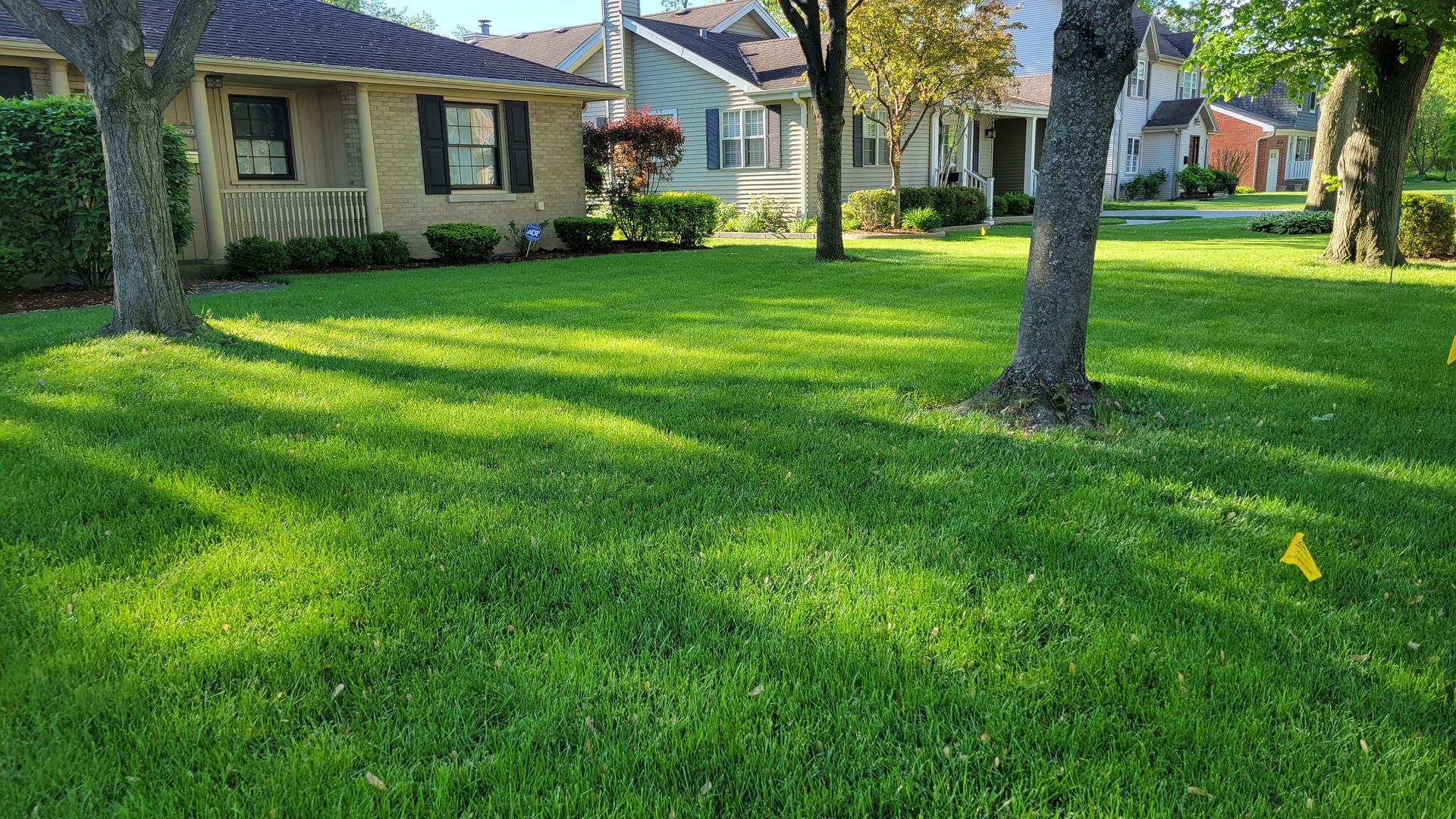 A lush green lawn with trees in front of a house.