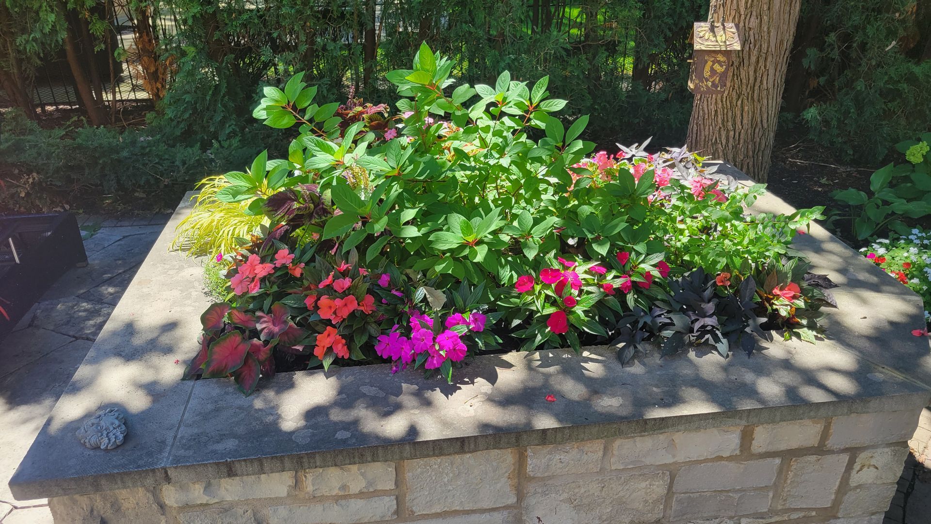 There are many different types of flowers in this garden.