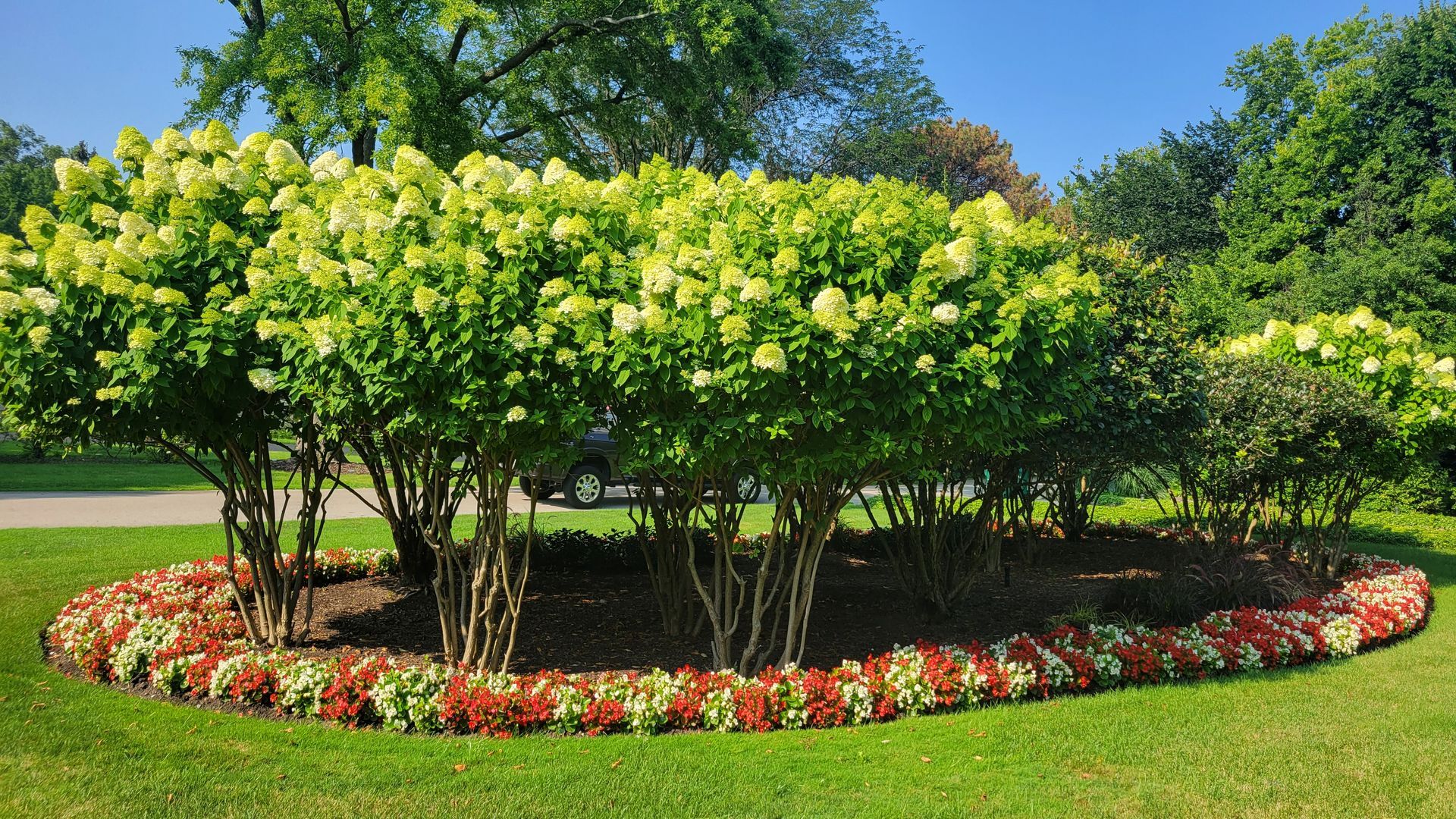 A circle of trees and flowers in a park