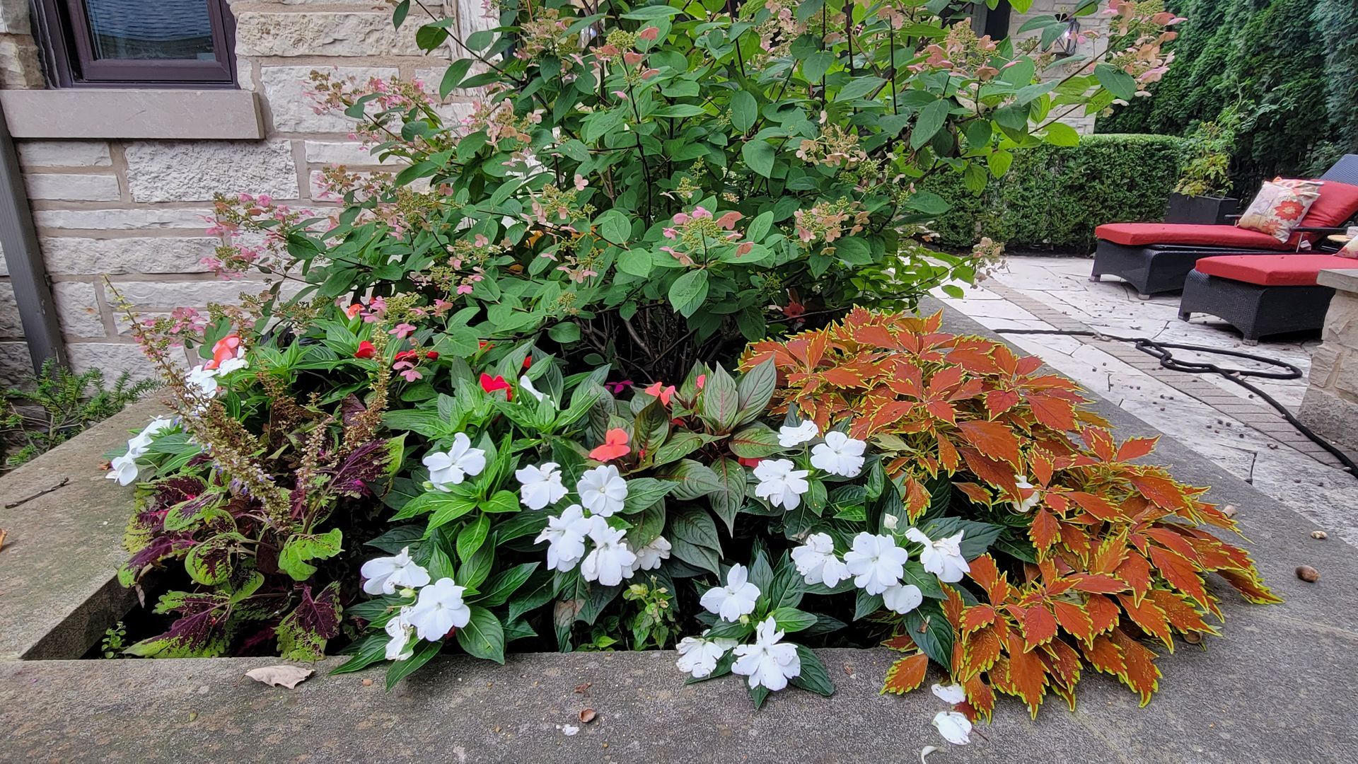 There are many different types of flowers in the garden.