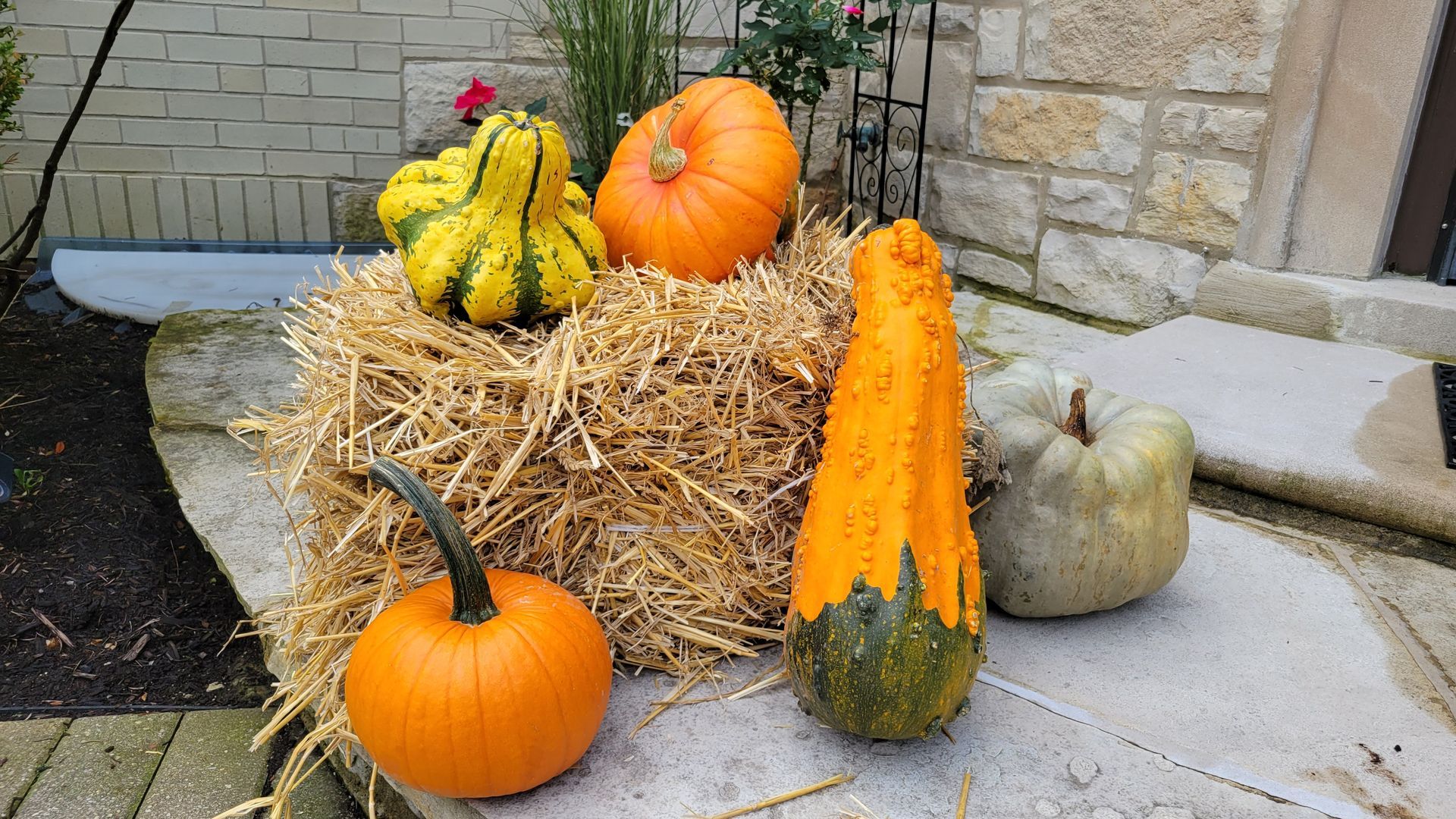 A bunch of pumpkins are sitting on top of a bale of hay.