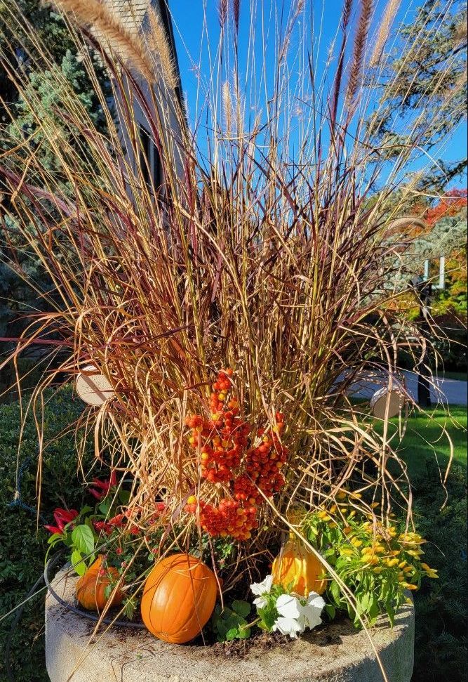 A planter filled with flowers and pumpkins on a sunny day.