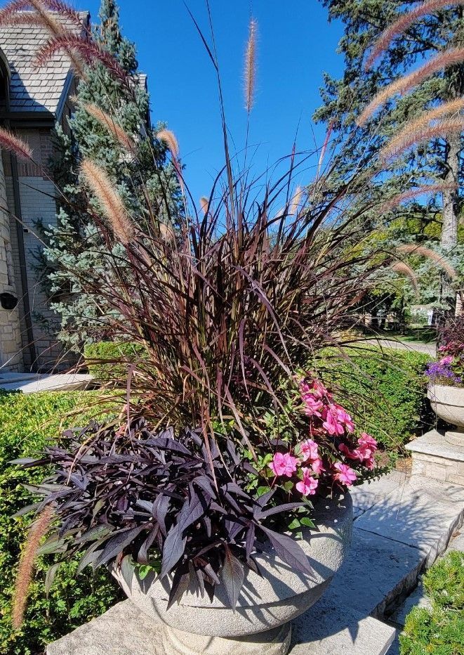 A planter filled with purple plants and pink flowers in a garden.