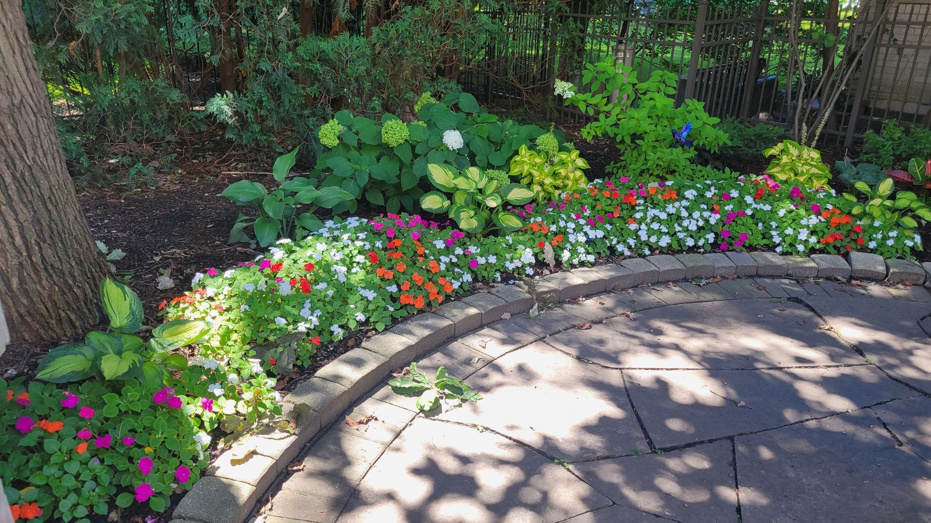 There are many different types of flowers in the garden.