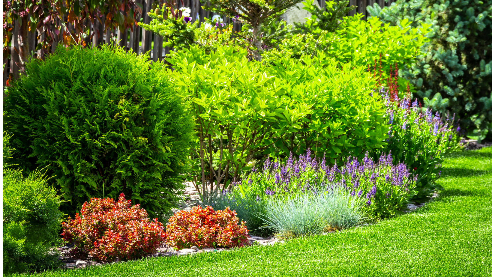 A garden filled with lots of plants and flowers.
