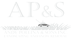 The logo for ap & s landscaping and snow removal shows a lawn mower in the grass.