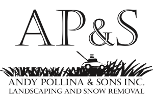 A black and white logo for ap & s landscaping and snow removal