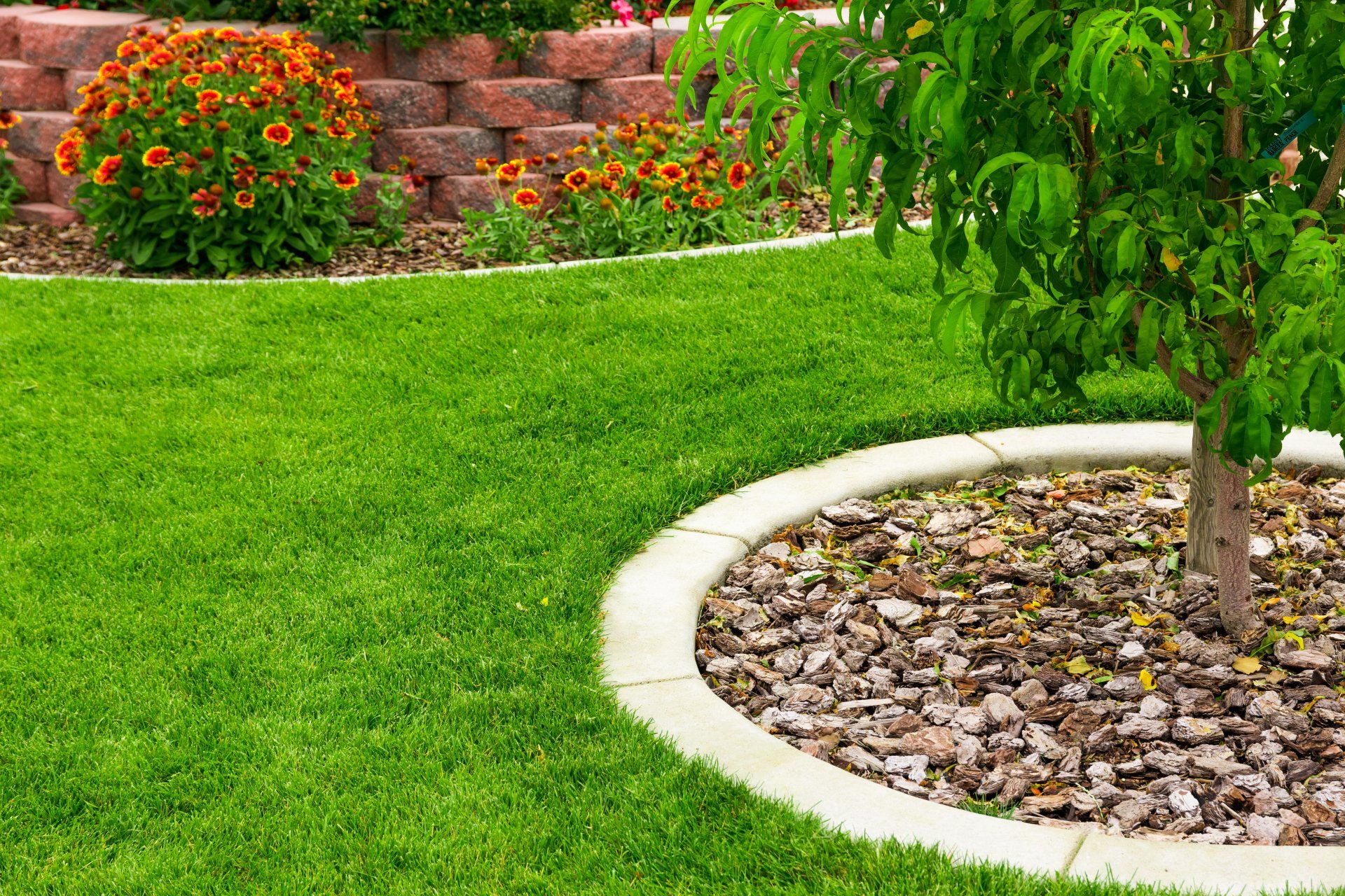 A lush green lawn with a tree in the middle of it
