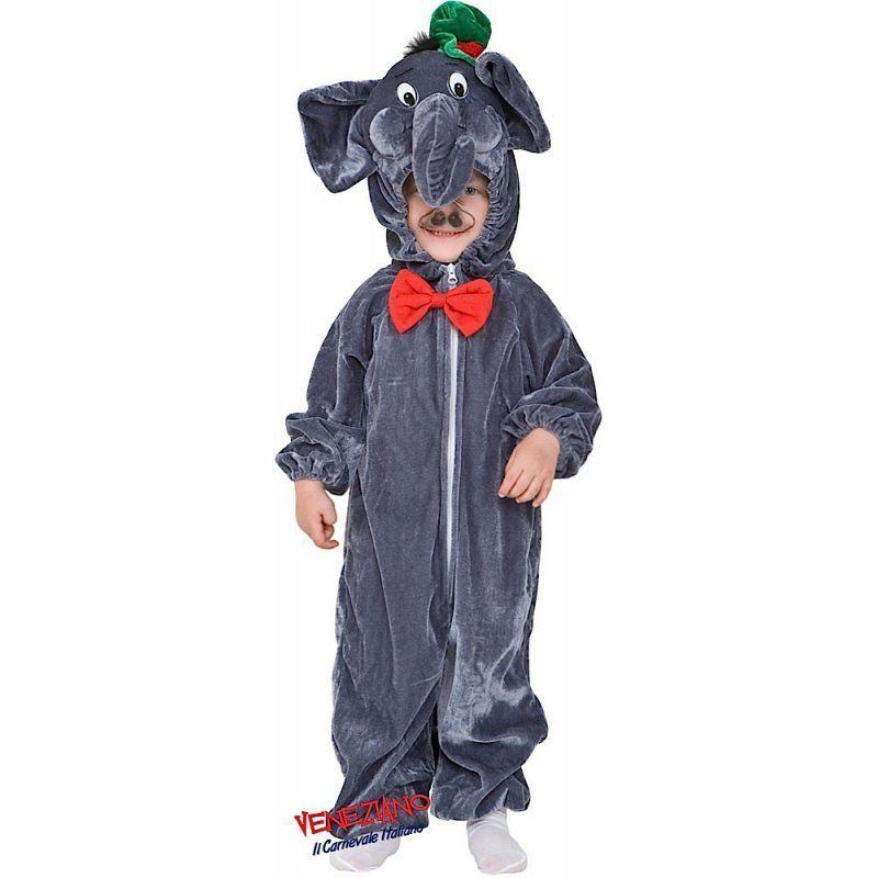 costume di carnevale 9