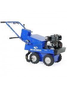 A person holding a baby up in the air indoors near a window, baby smiling.