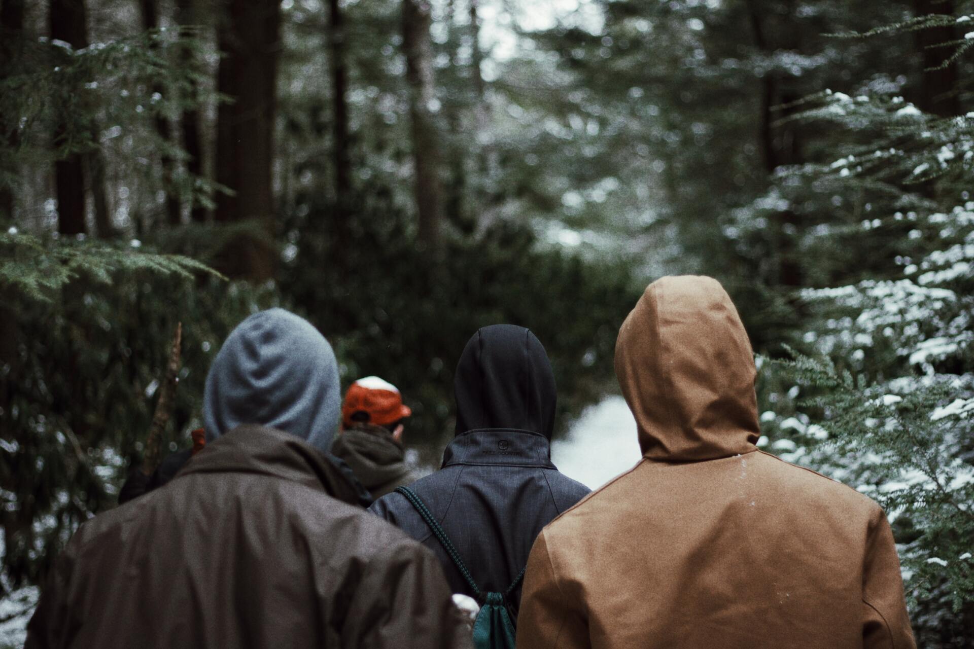 men walking with hoodies in a forest of pine trees