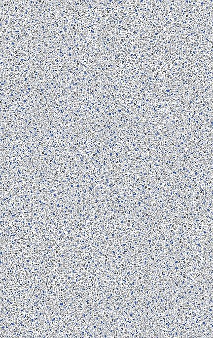 Lake Como All Over Pattern